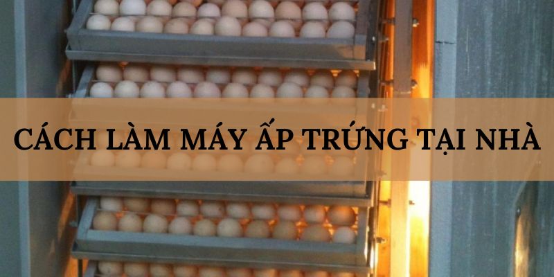 Banner www.mekongdeltaarbitrationcenter.vn