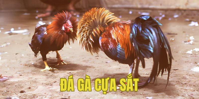 Banner www.mekongdeltaarbitrationcenter.vn